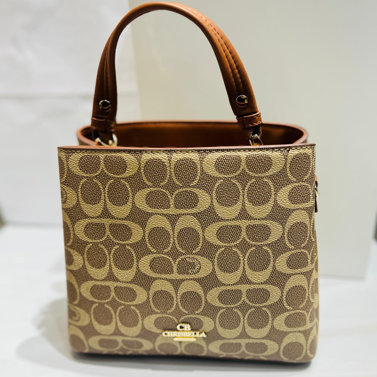 شنطة مستوحاة من تصاميم كوتش – Coach Inspired Bag